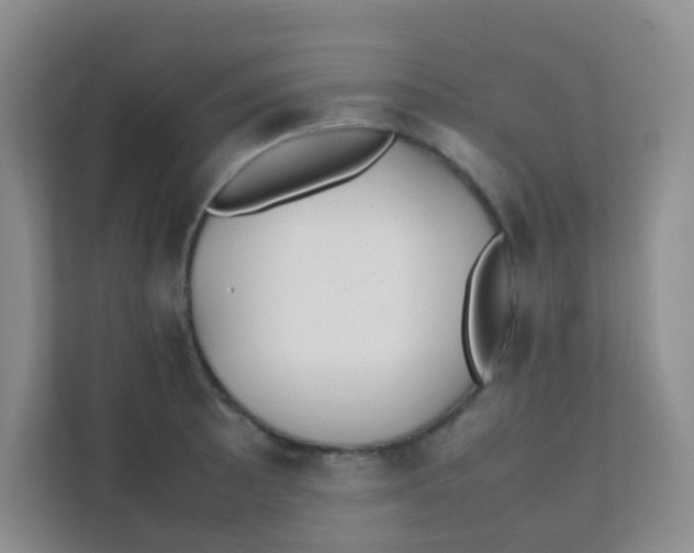 X0000111391089200907311109