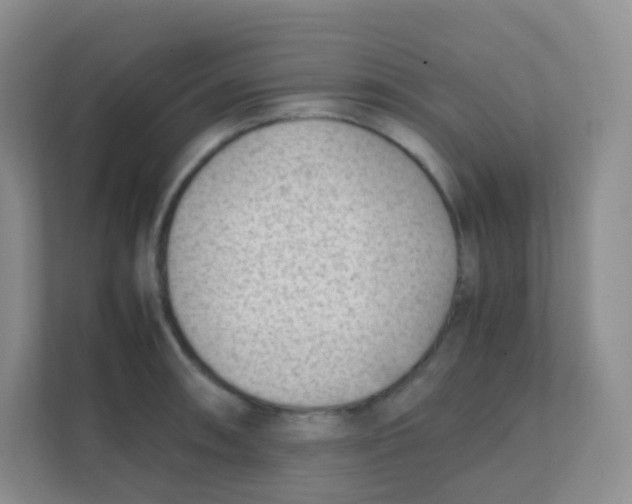 X0000111391090200907311109