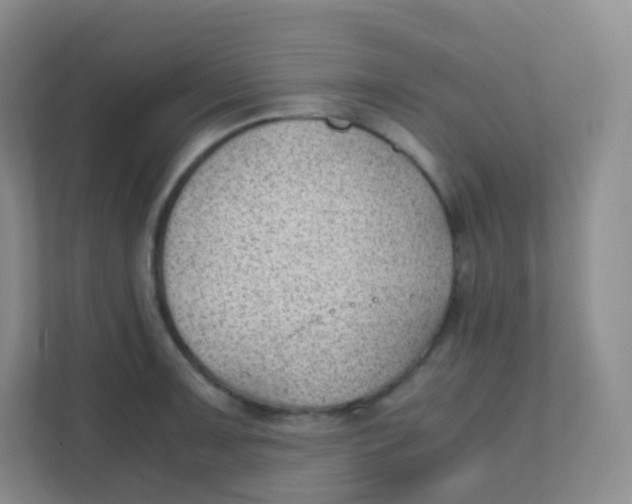 X0000111391091200907311109