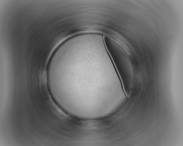 X0000111391092200907311109