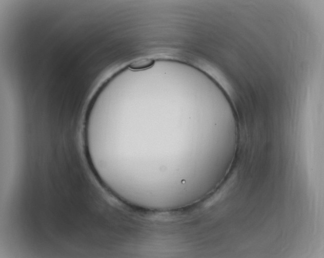 X0000111391093200907311109