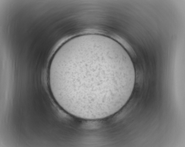 X0000111391094200907311109