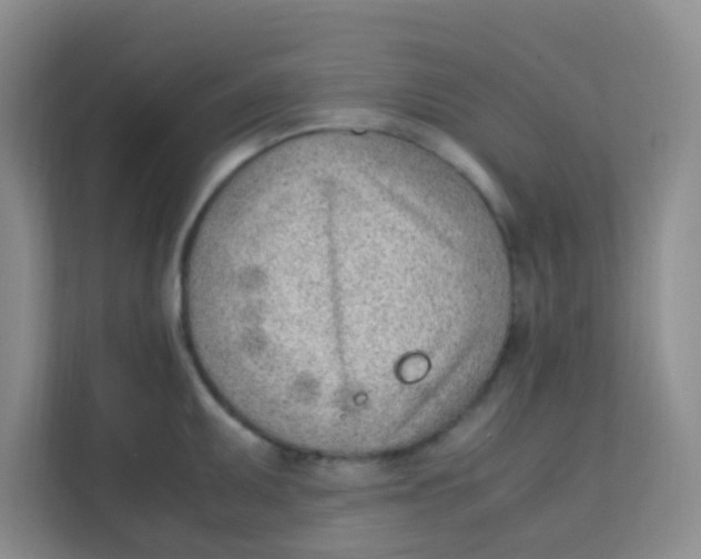 X0000111391095200907311109