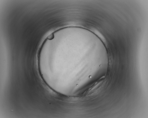 X0000111391096200907311109