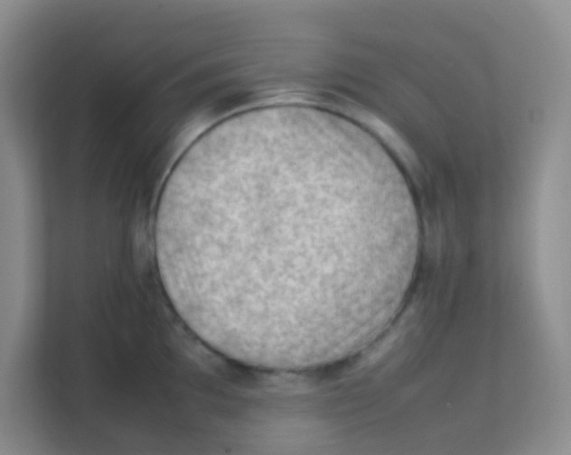 X0000111391097200907311109