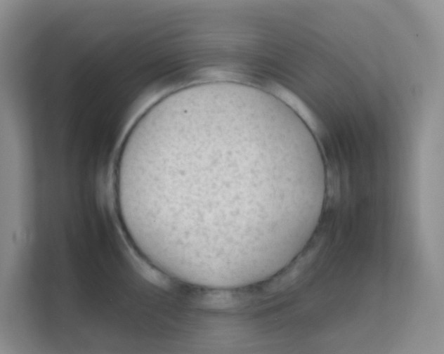 X0000111391098200907311109