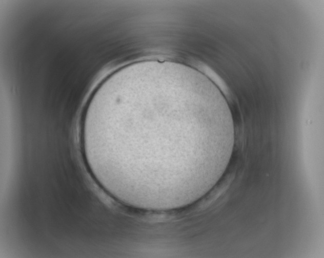 X0000111391099200907311108