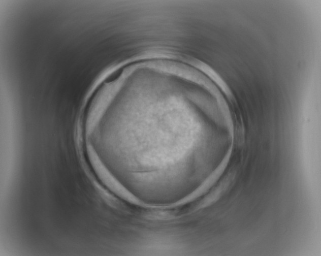 X0000111391101200907311108