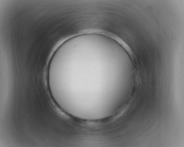 X0000111391102200907311108