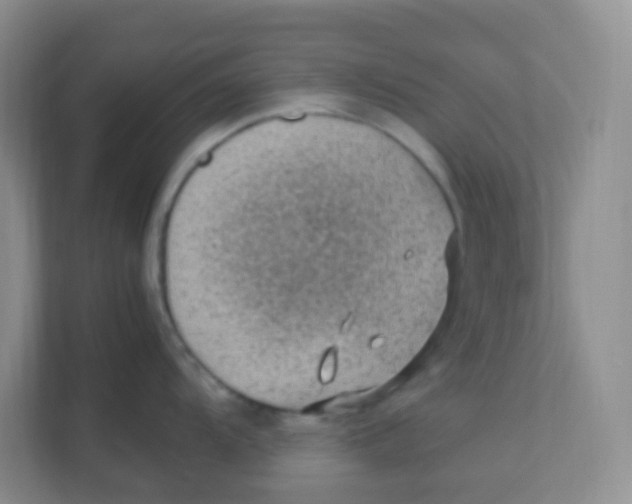 X0000111391104200907311108