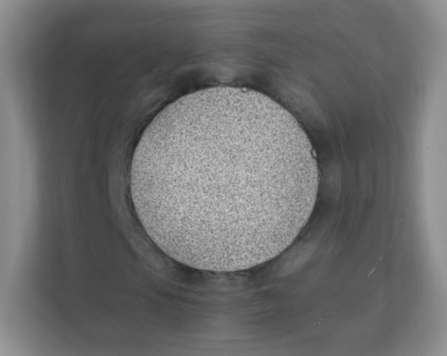 X0000111391105200907311108