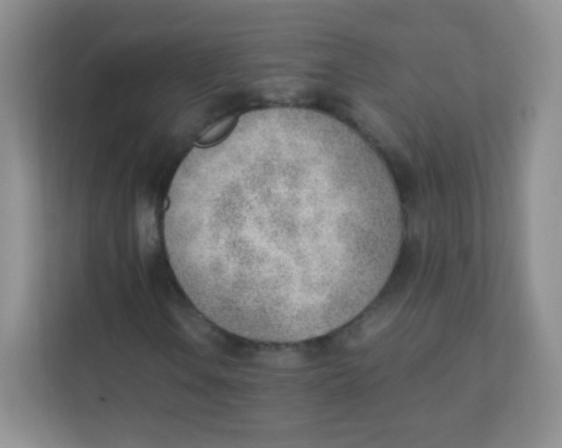 X0000111391106200907311108