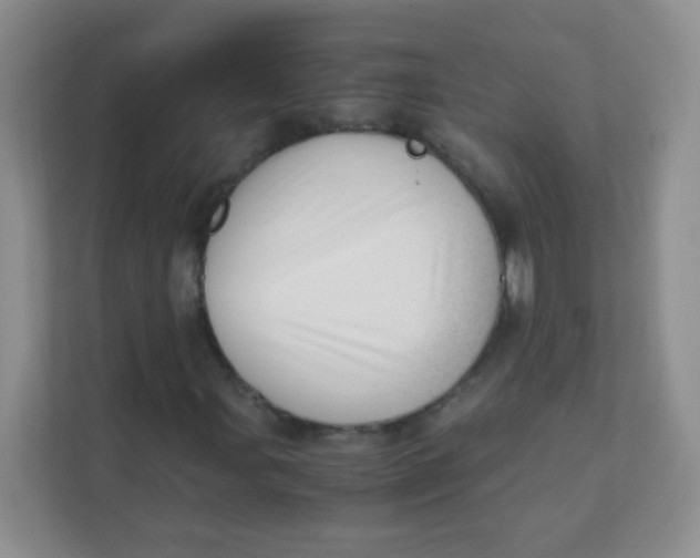 X0000111391107200907311108