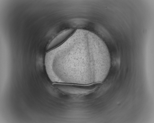 X0000111391108200907311108