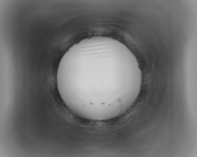 X0000111391109200907311108