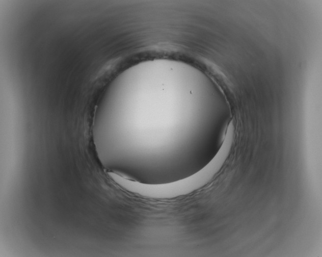 X0000111391110200907311108