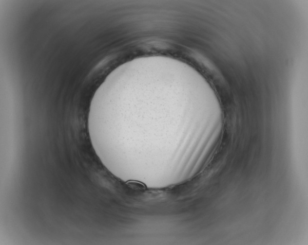 X0000111391112200907311108