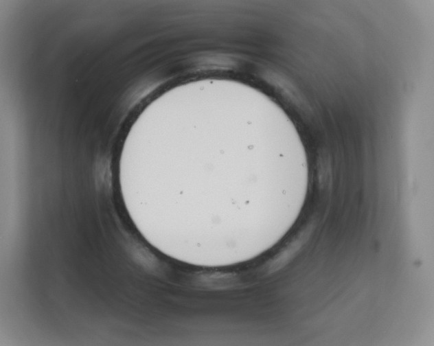 X0000111391113200907311108