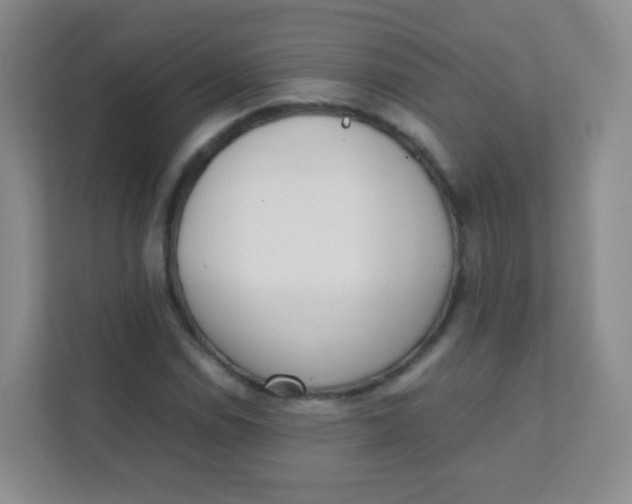 X0000111391114200907311108