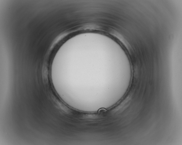 X0000111391115200907311108