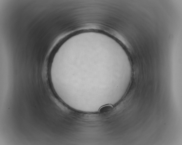 X0000111391116200907311108