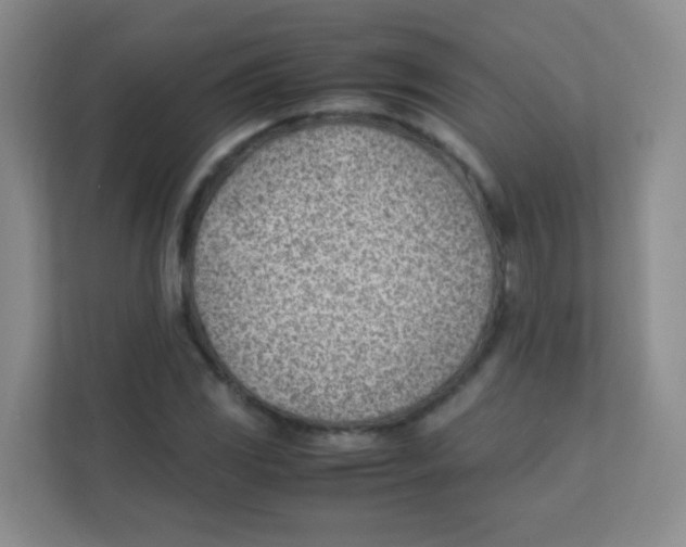 X0000111391117200907311108