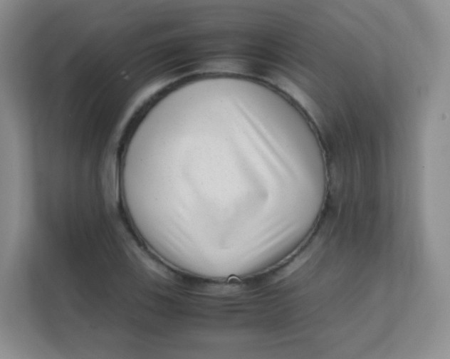 X0000111391123200907311108