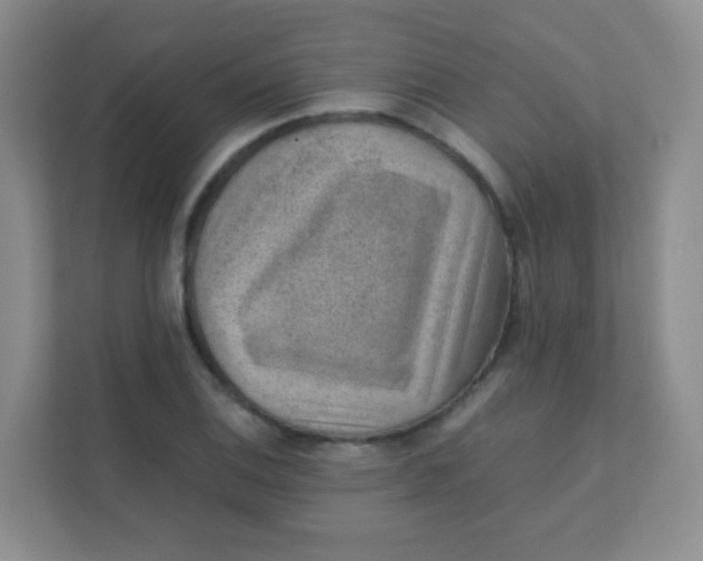 X0000111391124200907311108