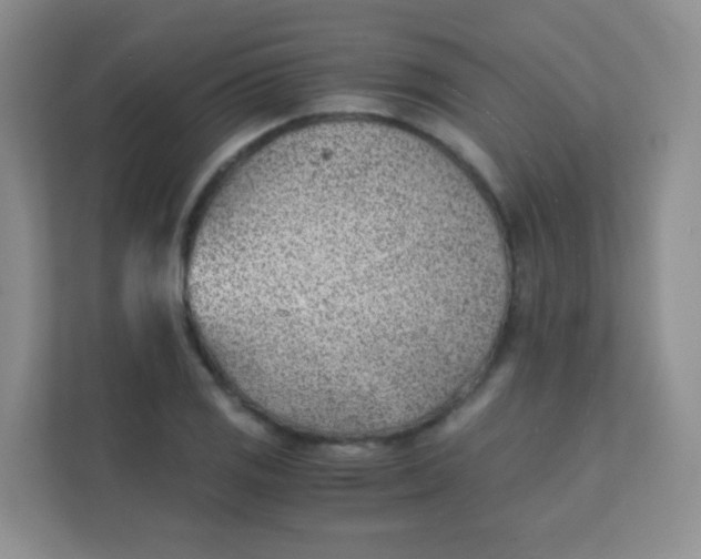 X0000111391125200907311108