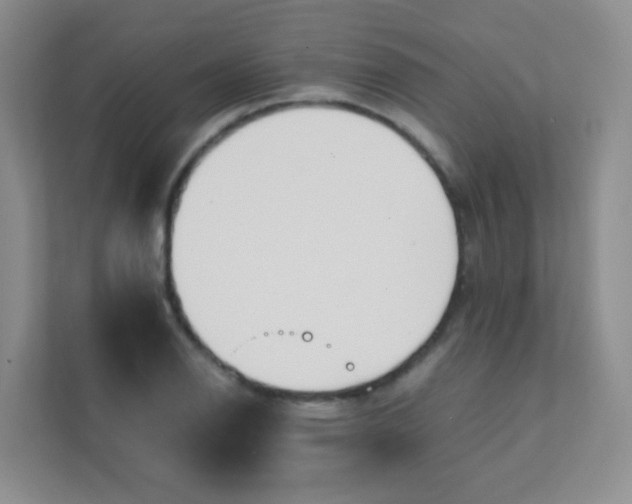 X0000111391126200907311108