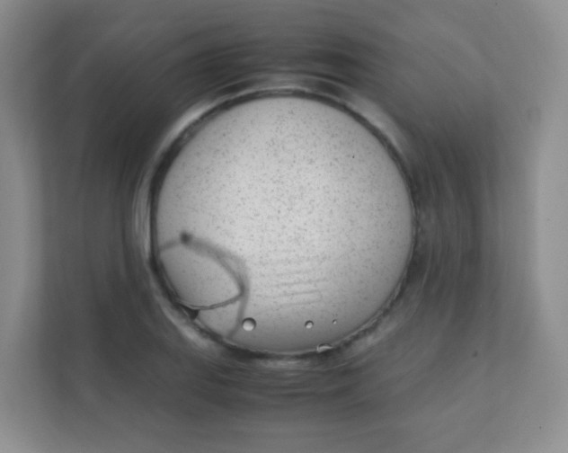 X0000111391127200907311108