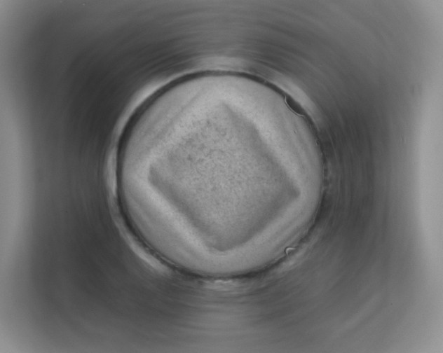 X0000111391128200907311108