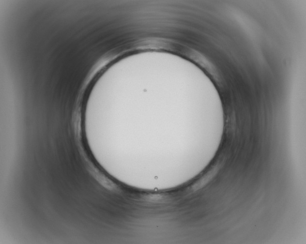 X0000111391130200907311108