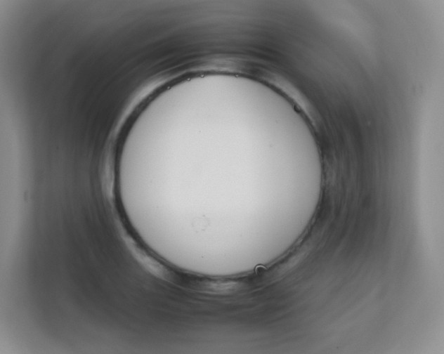 X0000111391131200907311108