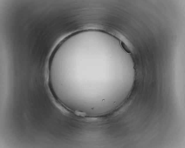 X0000111391132200907311108