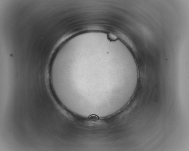 X0000111391133200907311108