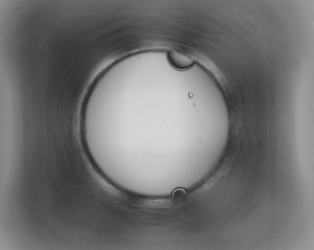 X0000111391135200907311108