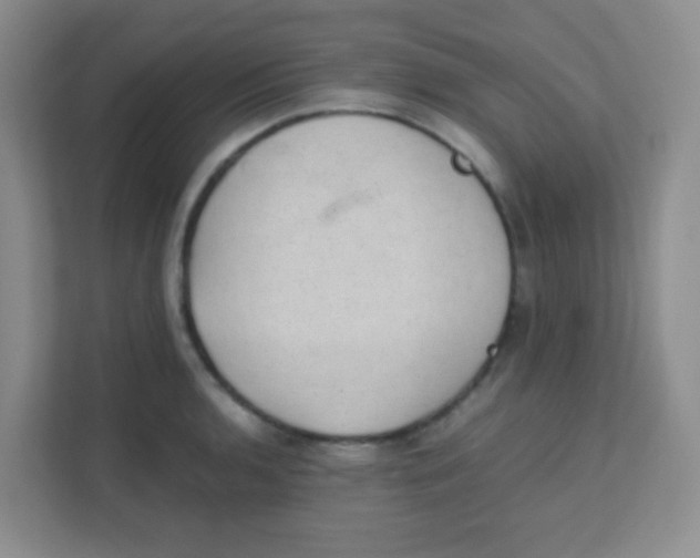 X0000111391136200907311108