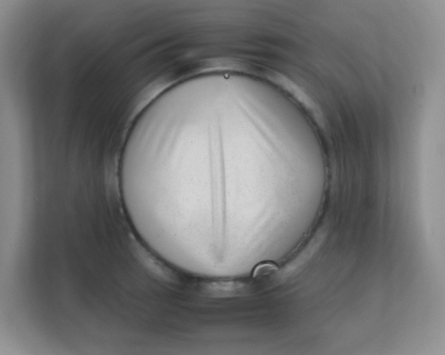 X0000111391137200907311108