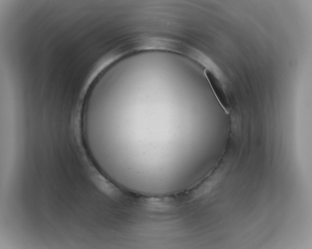 X0000111391138200907311108