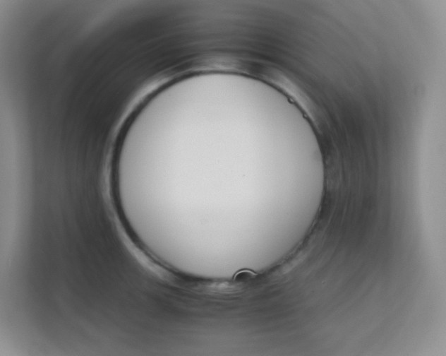 X0000111391139200907311108