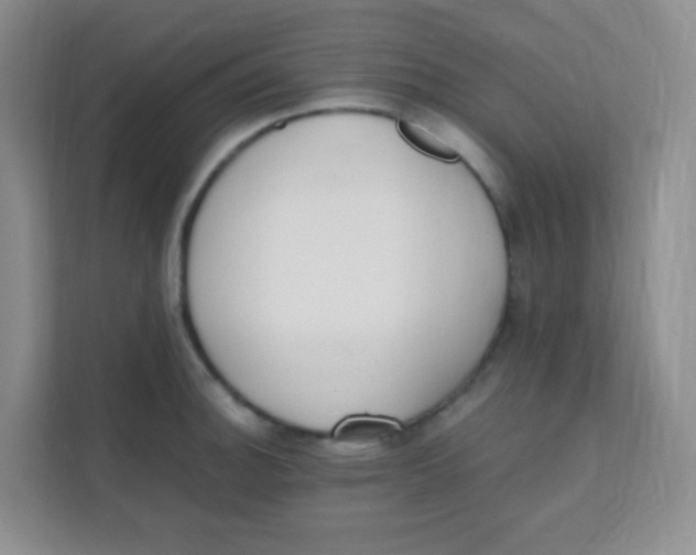 X0000111391140200907311108