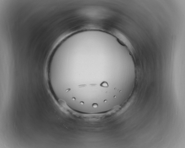 X0000111391141200907311108