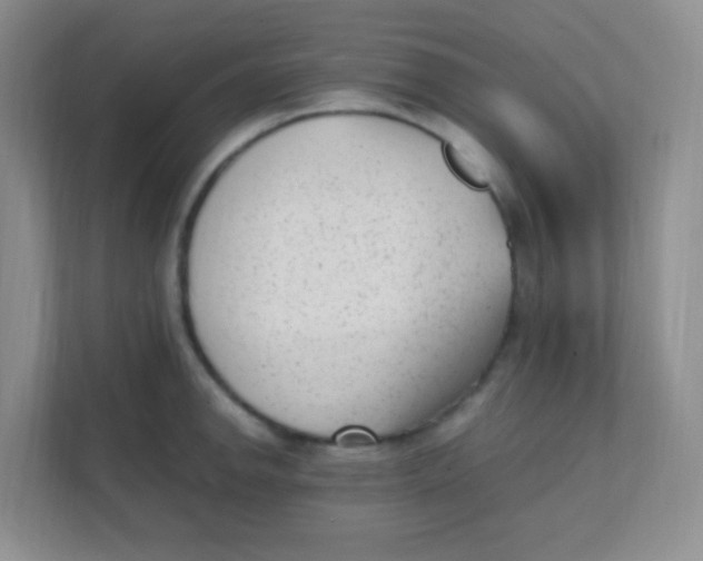 X0000111391142200907311108