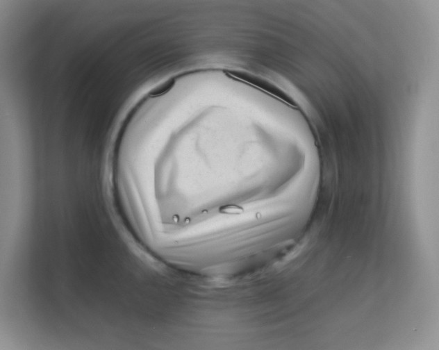 X0000111391144200907311108