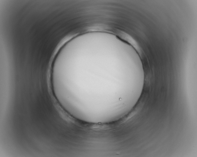 X0000111391146200907311108