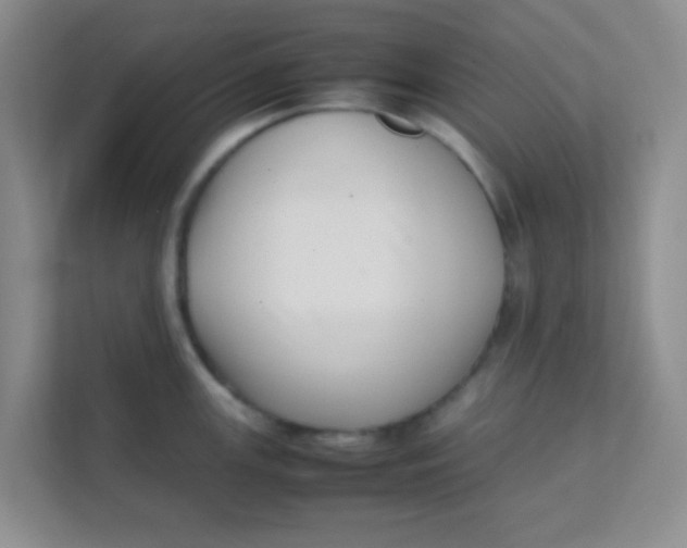 X0000111391147200907311108