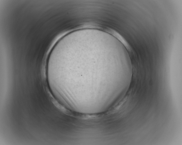 X0000111391148200907311108