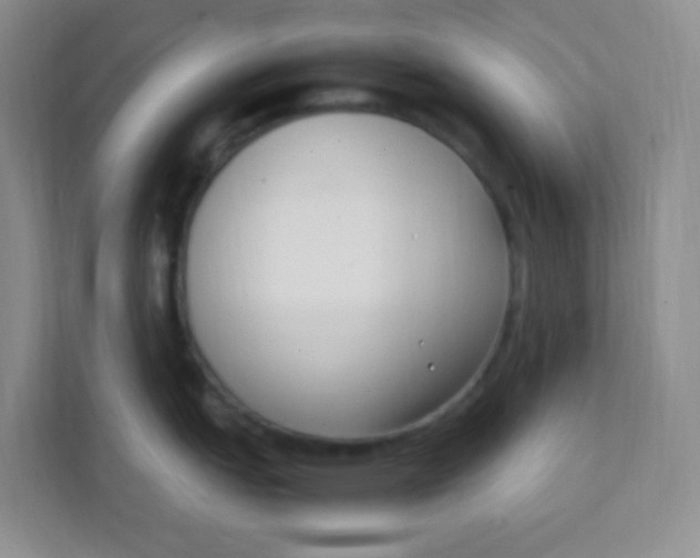 X0000111391151200907311108