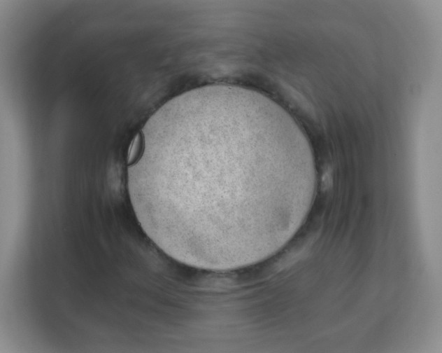 X0000111391156200907311108